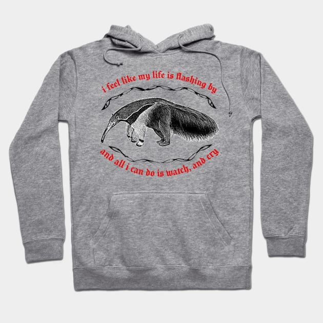 I Feel Like My Life Is Flashing By ∆ Nihilist Anteater Design Hoodie by DankFutura